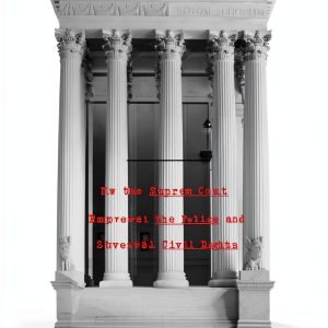 Discrimination Constitutional Law Kindle Edition by Liveright-0
