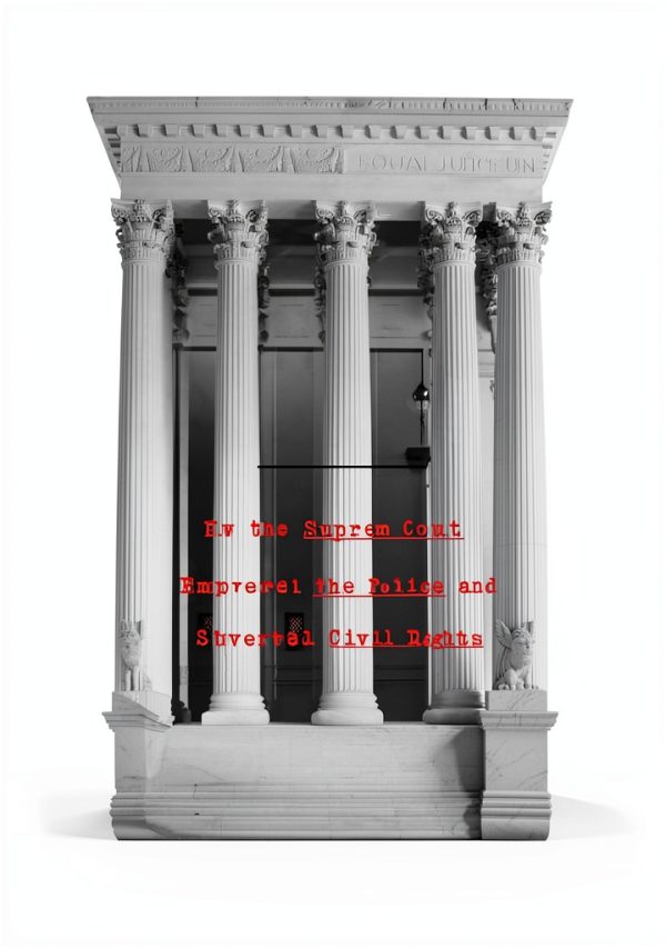 Discrimination Constitutional Law Kindle Edition by Liveright-0