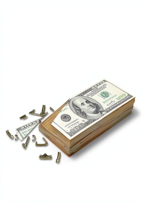 Financial Freedom Kindle eBook by FinancialMentor.com Edition-0